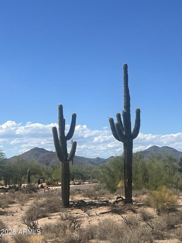 33501 N 55th St. #-, Cave Creek, AZ 85331