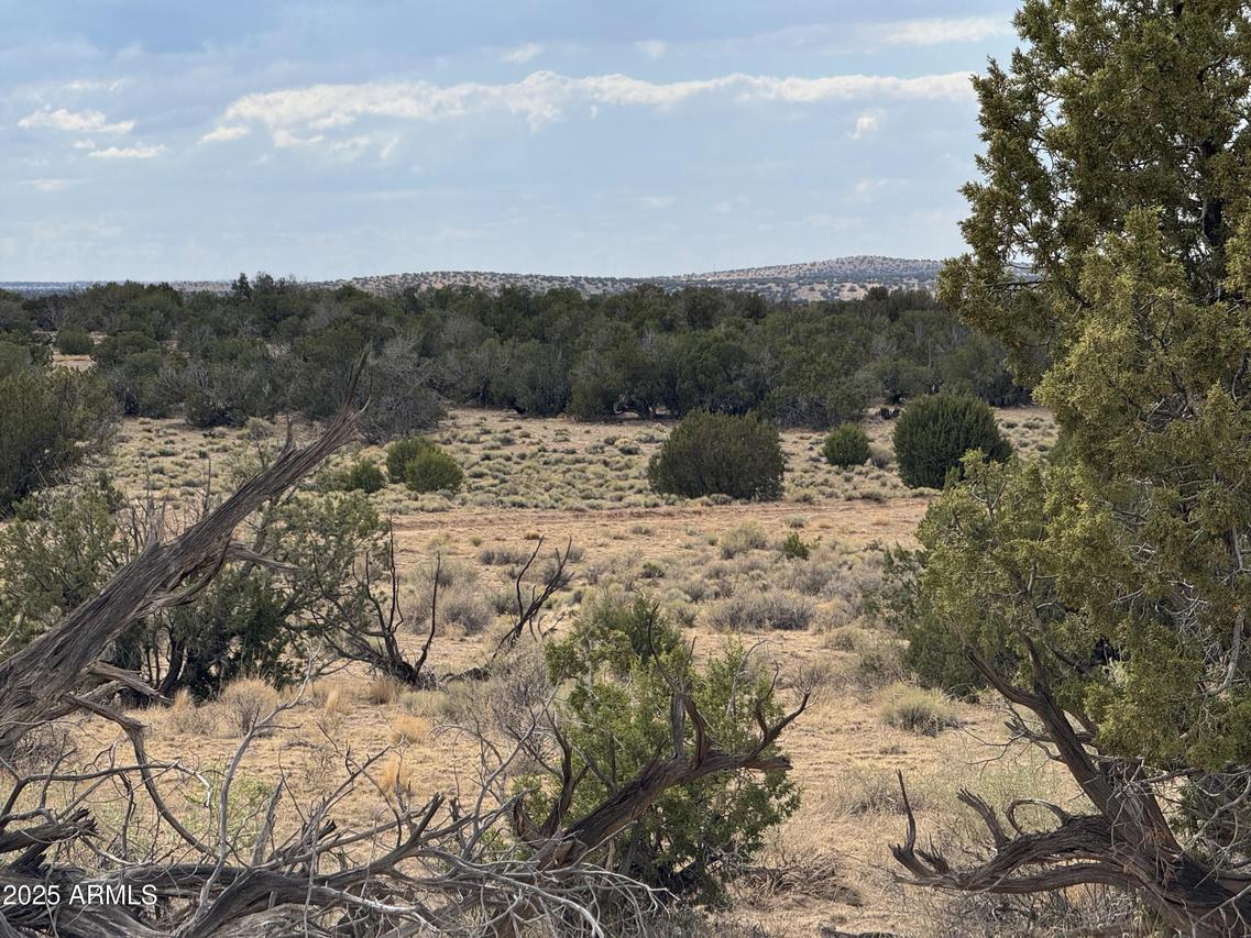 Lot 1096 Woodland Valley Ranch #1096, St Johns, AZ 85936