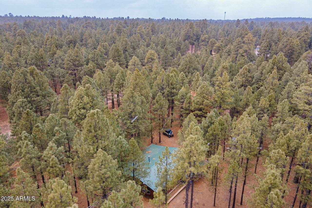 1415 Sheep Springs Rd., Forest Lakes, AZ 85931