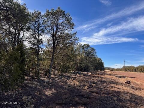 138 Acr 3158 #135, Vernon, AZ 85940