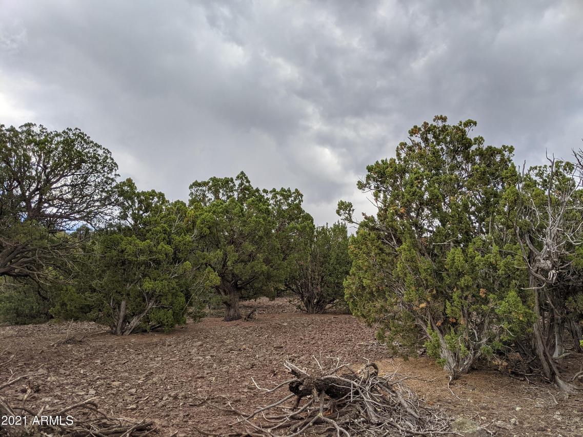 lot 79 Ranch Rd. #79, Vernon, AZ 85940