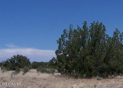 Sec 13 T14n, R16e:e2 Nw4 Se4 #'-', Heber, AZ 85928