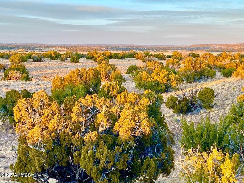 TBD N6659 36.25 Acres #-, St Johns, AZ 85936