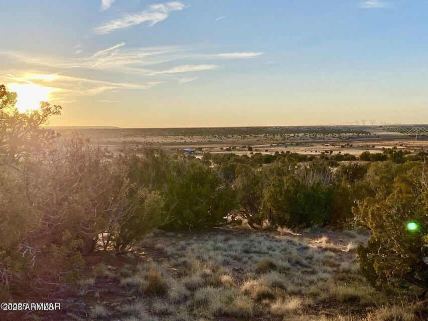 1295 Co Rd 5270 9.6 Acres #-, Concho, AZ 85924