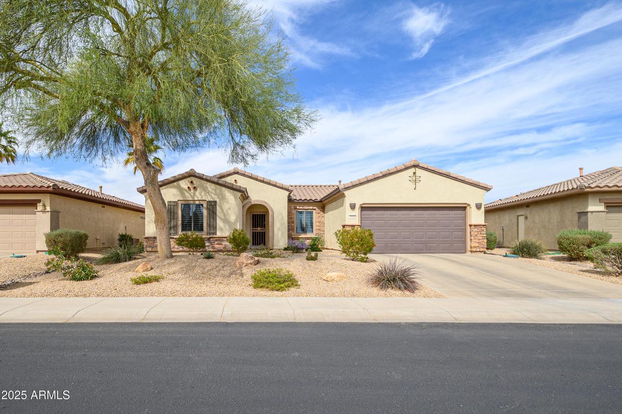 19140 N Tamarisk Flower Way, Surprise, AZ 85387