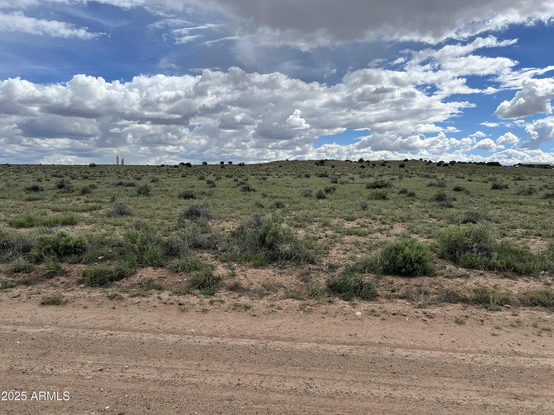 TBD 40 Acres Carrizo Ranch #249, St Johns, AZ 85936