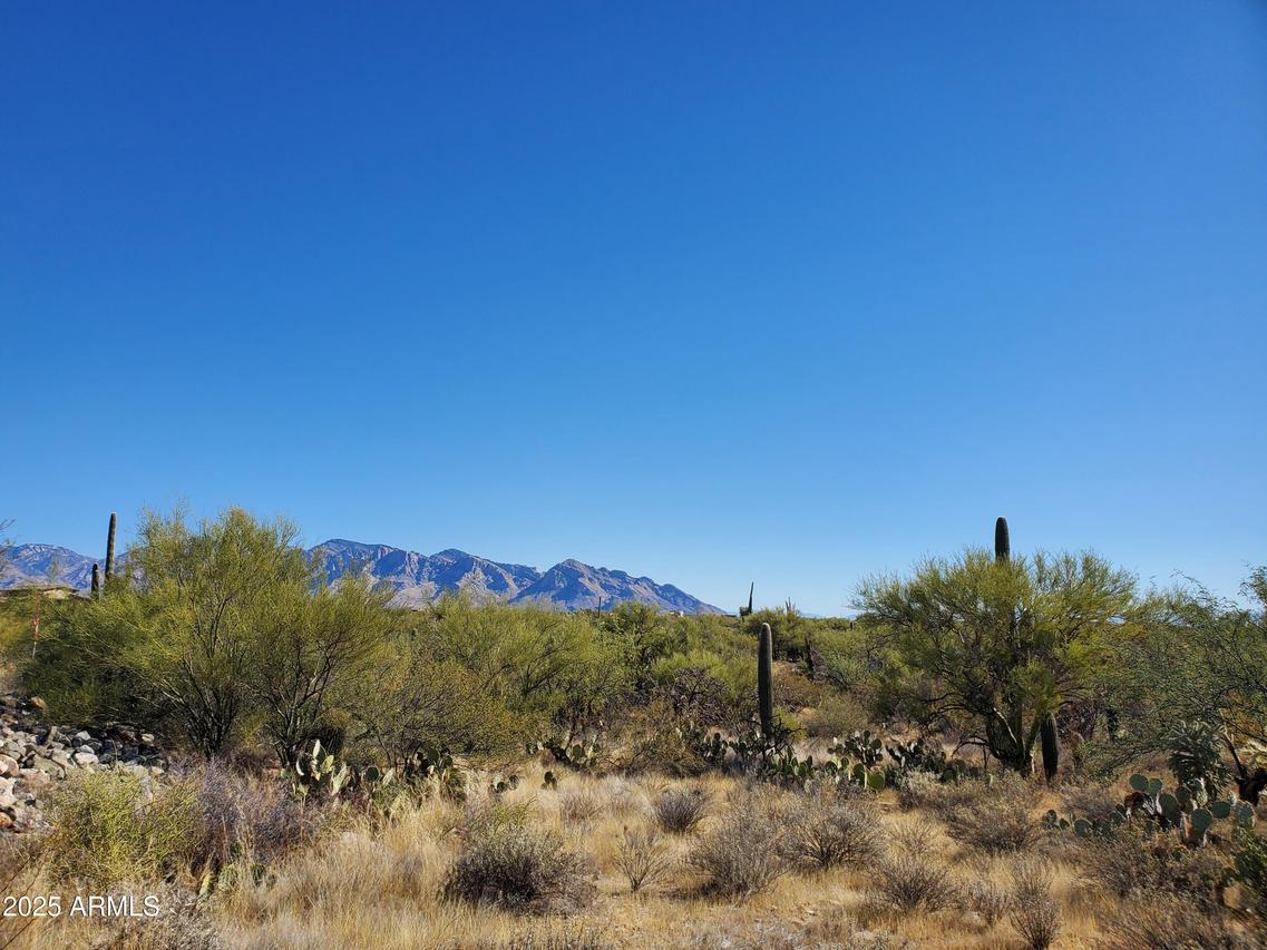 13147 N T Bench Bar Pl. #00003, Marana, AZ 85658
