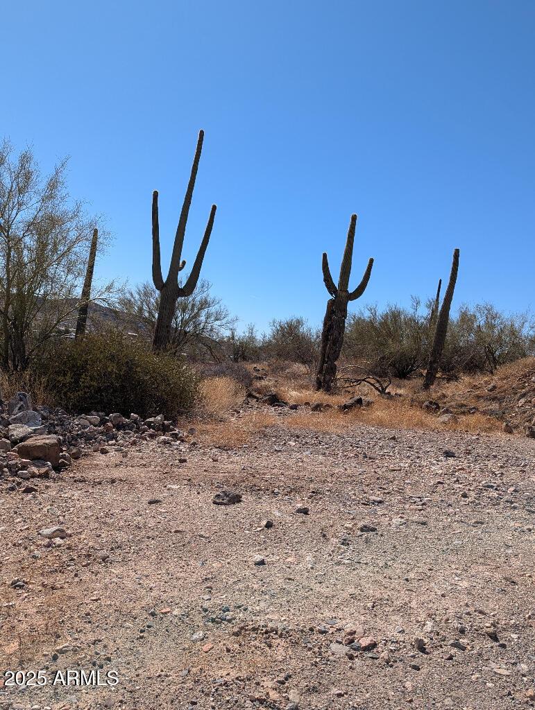 1670 E Gaffney Rd. #-, Phoenix, AZ 85087
