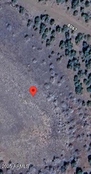 64 County Rd 8067 #1365, Concho, AZ 85924