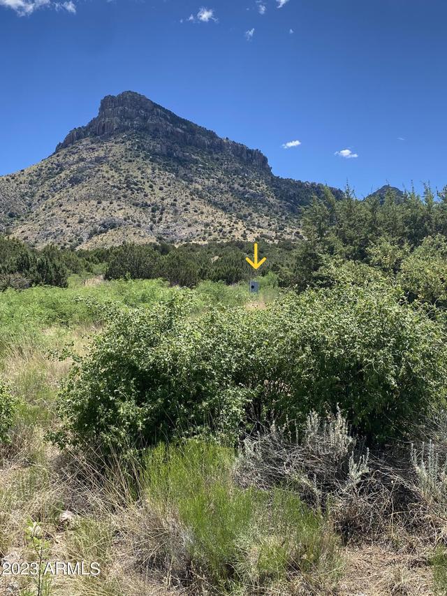 TBD S Wandervogel Way #B, Portal, AZ 85632