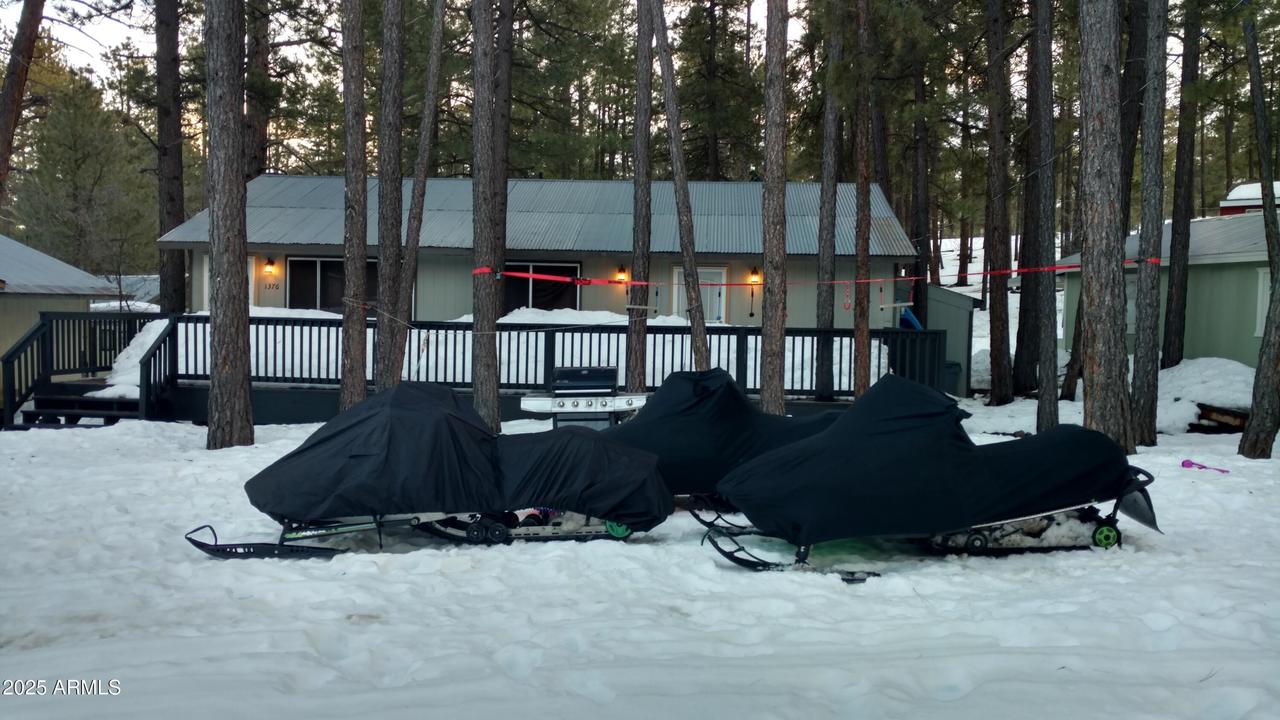 1376 Park Dr., Mormon Lake, AZ 86038