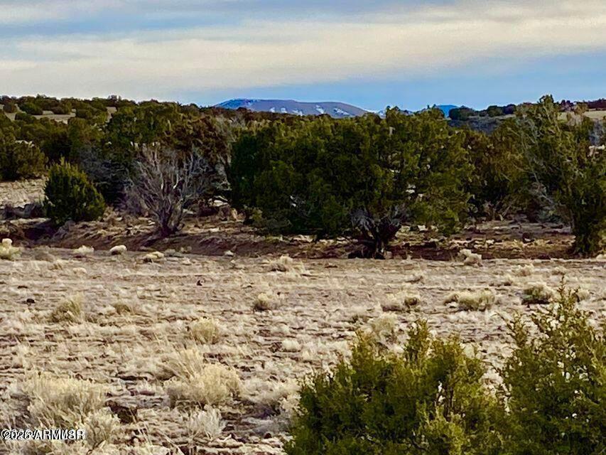 TBD Co Rd 5201 1.22 Acres #-, Concho, AZ 85924
