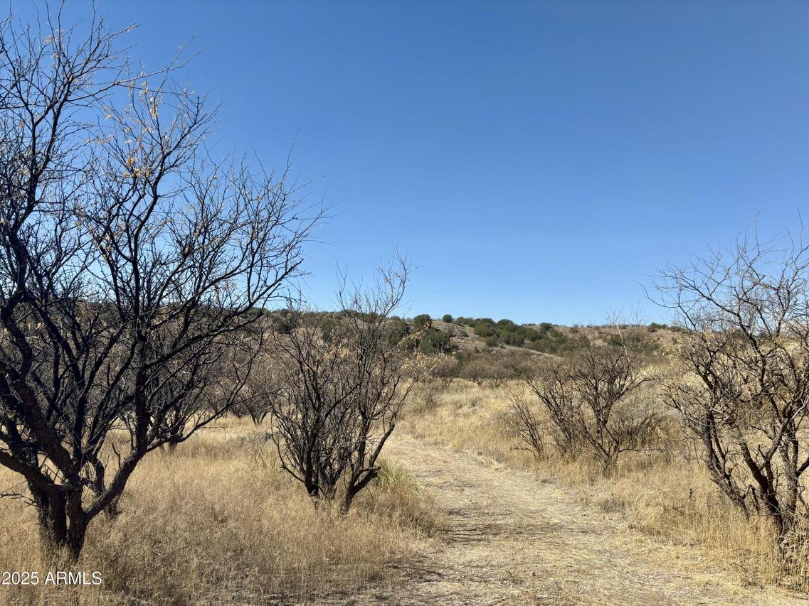 1 A Stevens #1-A, Patagonia, AZ 85624