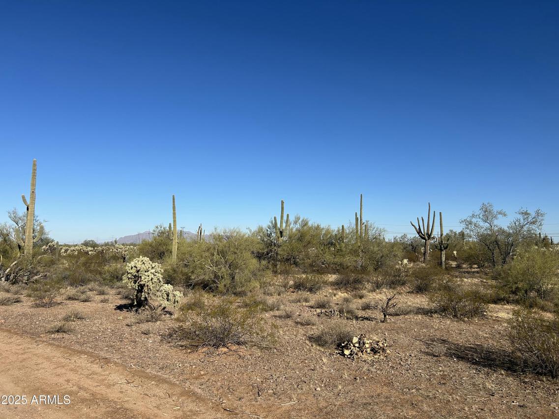 X S Cattle Tank Rd. #-, Marana, AZ 85658