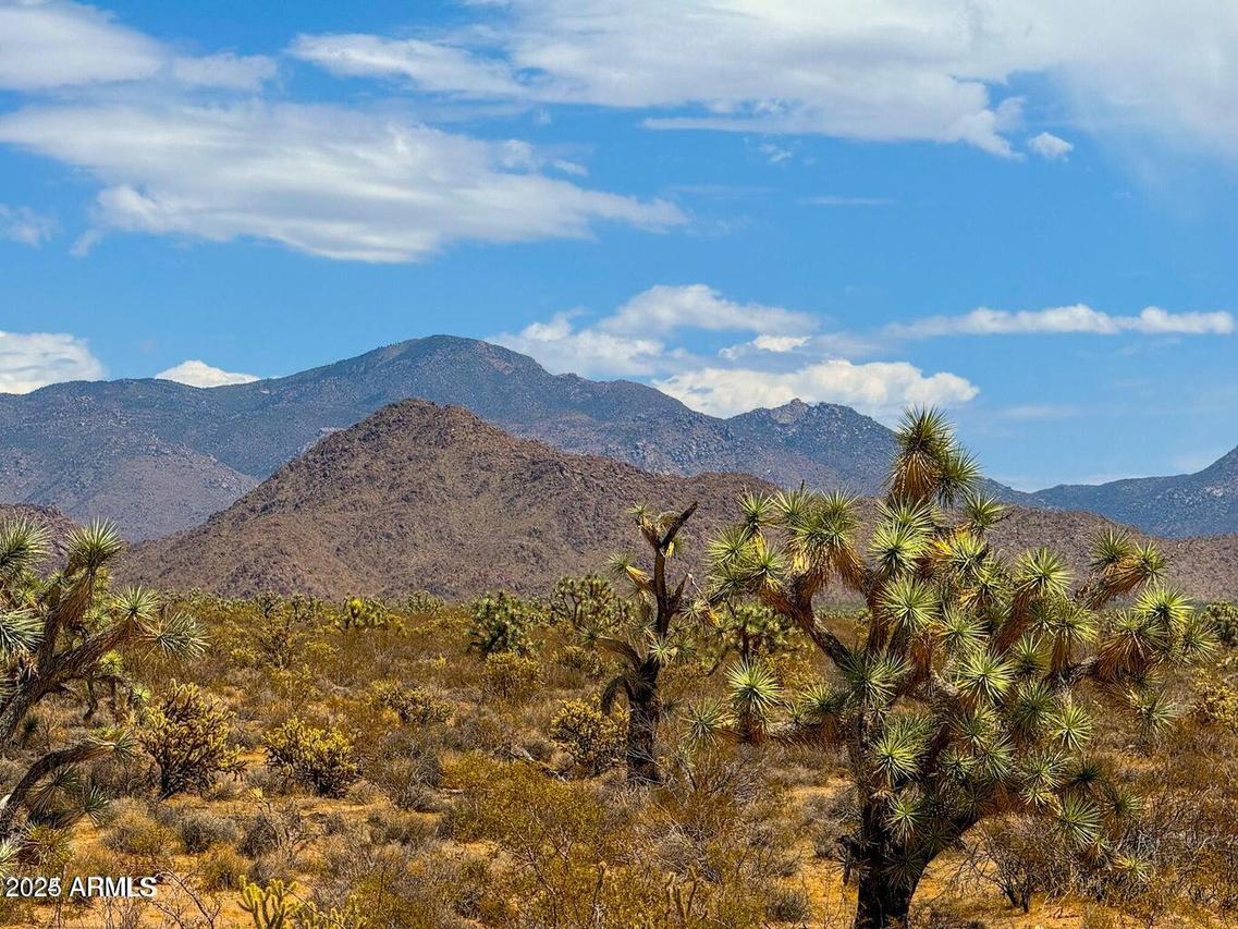 TBD Jesse James Rd 80 Acres #-, Yucca, AZ 86438