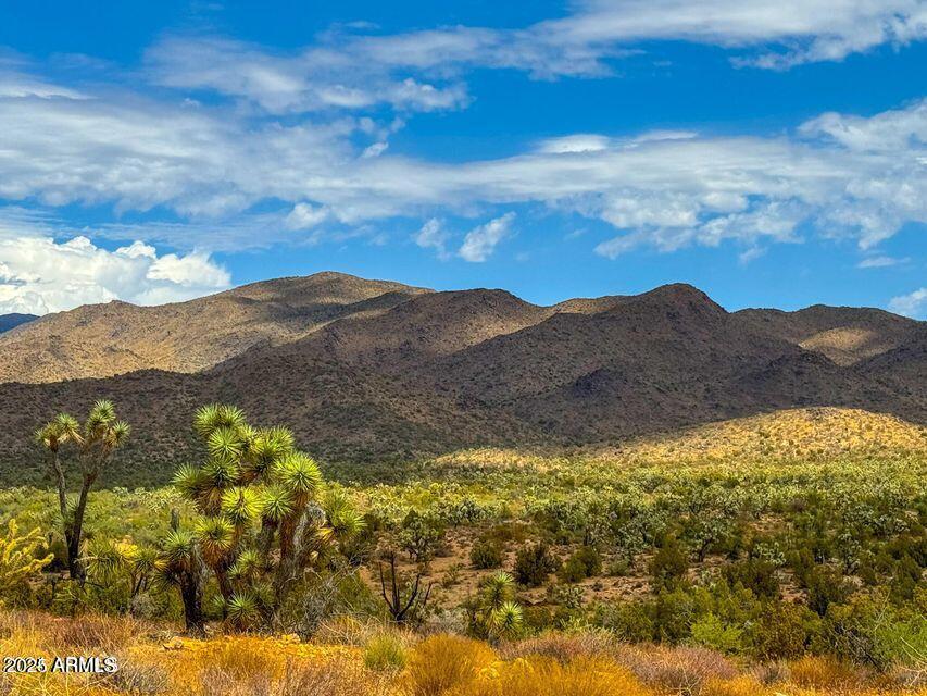TBD Sunset 160 Acres Dr. #-, Yucca, AZ 86438