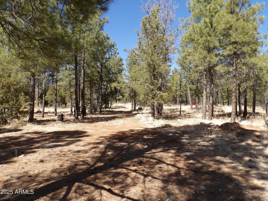 3900 Morning View Dr. #47, Happy Jack, AZ 86024