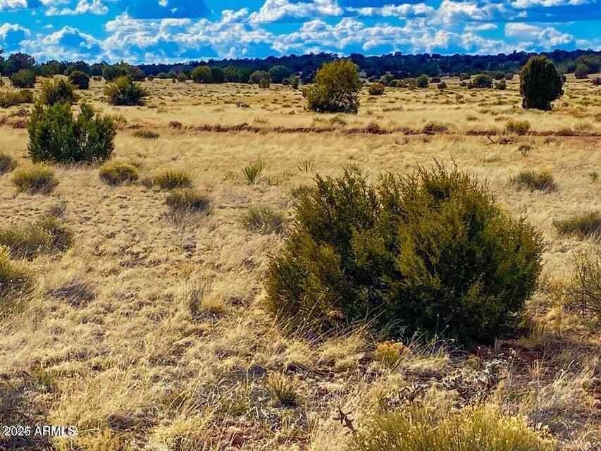 TBD Hyde Park Rd 10 Acres #-, Seligman, AZ 86337
