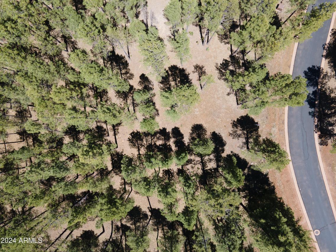 9586 Sierra Springs Way #7, Pinetop, AZ 85935