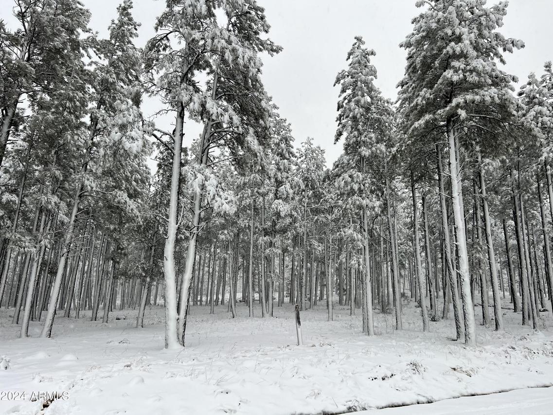 9586 Sierra Springs Way #7, Pinetop, AZ 85935