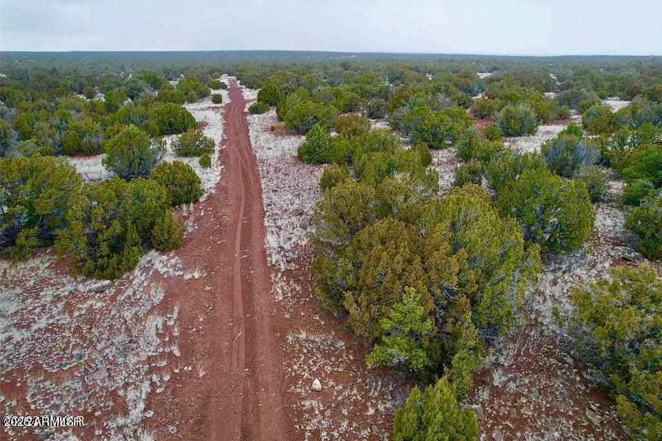 81 Co Rd 8072 #-, Concho, AZ 85924