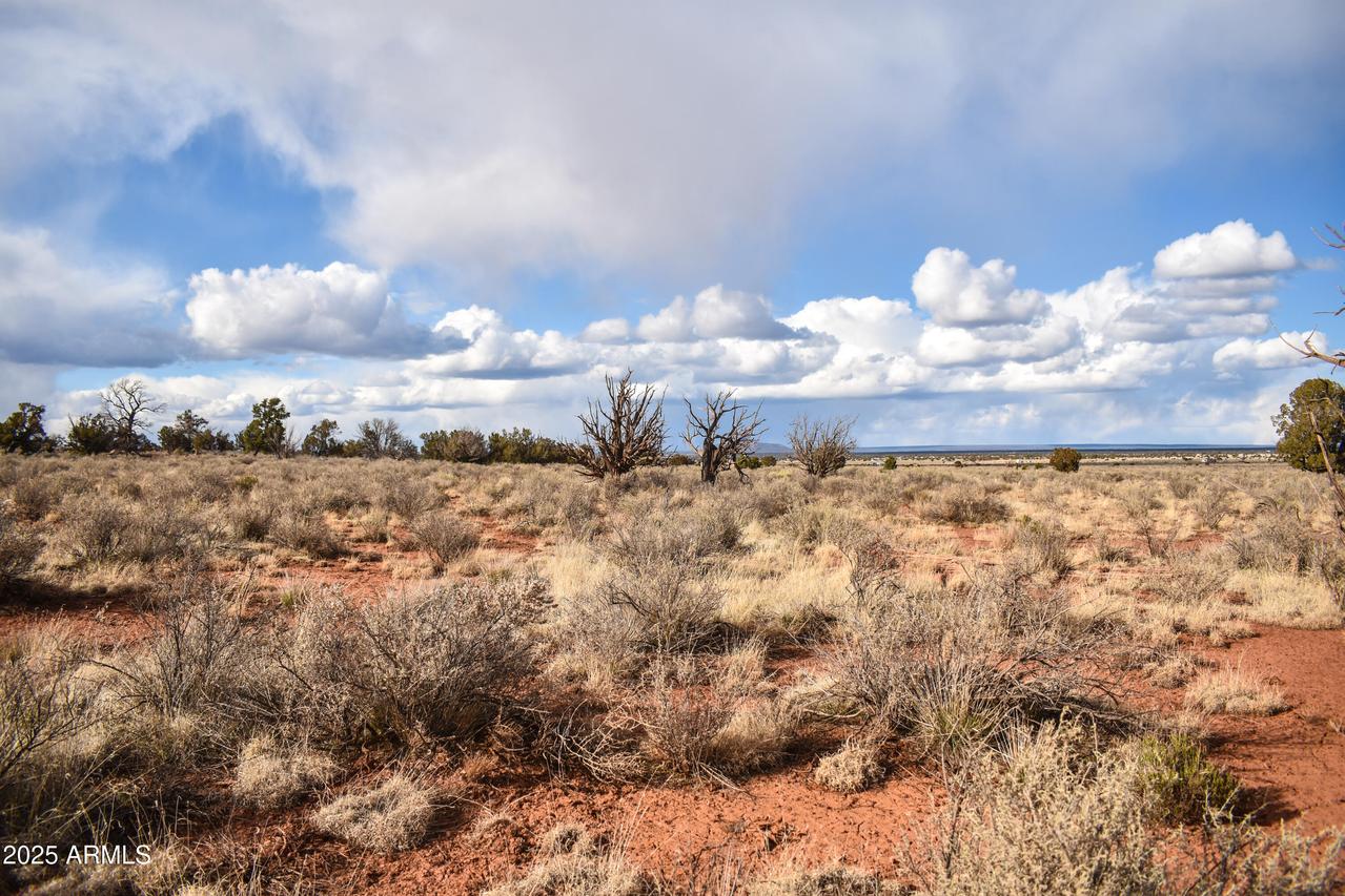 1333 E Laramie Dr. #41, Williams, AZ 86046