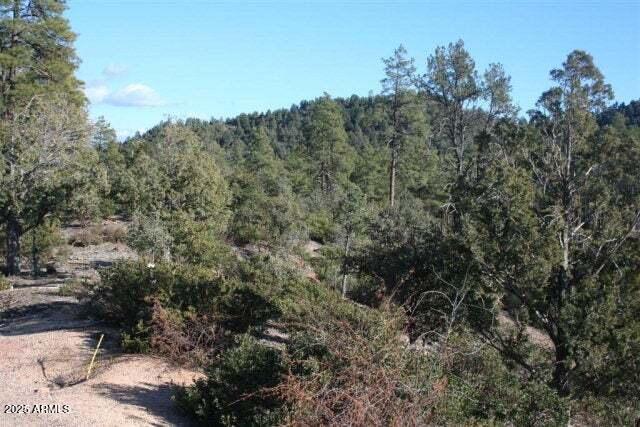 3103 S Monument Peak #168, Payson, AZ 85541
