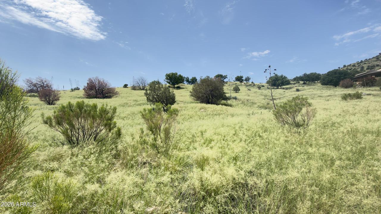 Lot 009P S One More Road #-, Hereford, AZ 85615