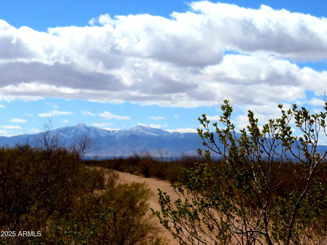 TBD E Stonebracker Rd. #-, Tombstone, AZ 85638