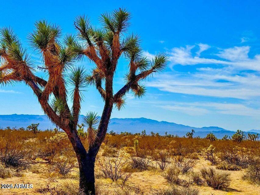 TBD Apex  1.07 Acres Rd. #-, Yucca, AZ 86438
