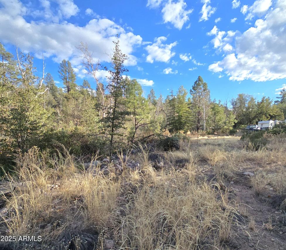 298 E Sharps Dr. #22, Young, AZ 85554