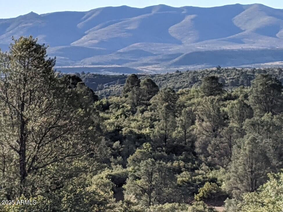 18XXX W Model Creek Rd. #-, Peeples Valley, AZ 86332