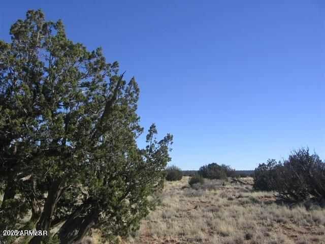 Sec 5 T14n, R16e Cr Lot 016b #016B, Heber, AZ 85928