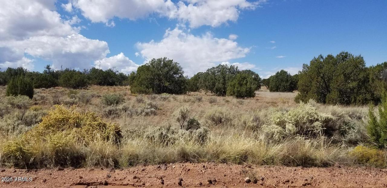 3908  71A Hidden Ranch Rd. #71A, Snowflake, AZ 85937