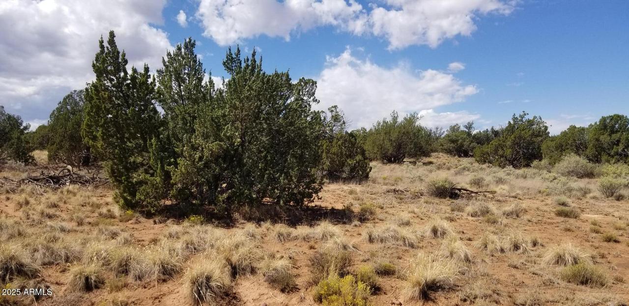 3908 71B Hidden Ranch Rd. #71B, Snowflake, AZ 85937