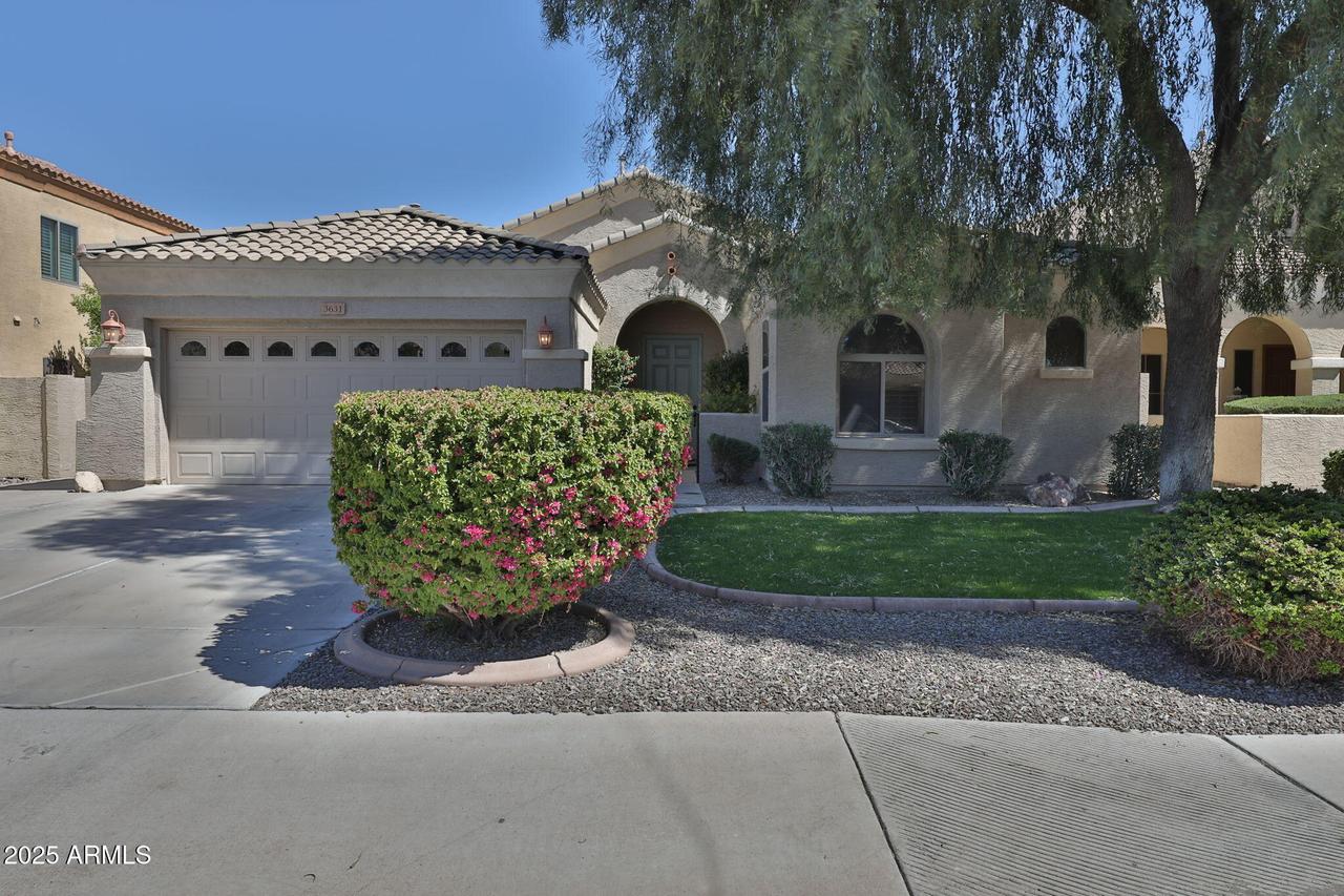 3631 S Salt Cedar St., Chandler, AZ 85286