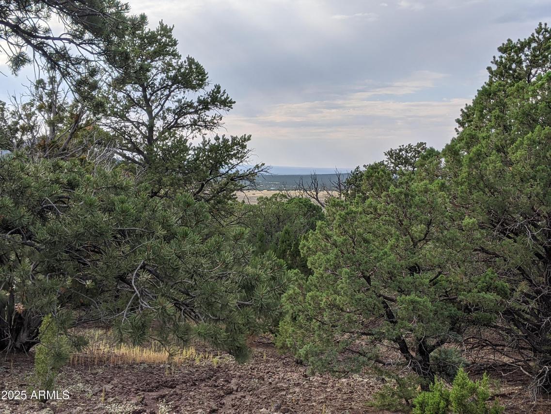 lot 76 Dolly Dr. #76, Vernon, AZ 85940