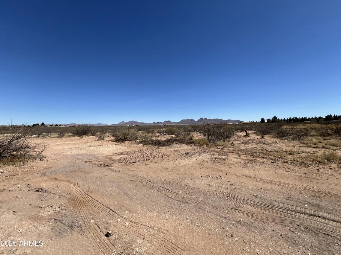 xxx N Van Buren Ave. #-, Douglas, AZ 85607