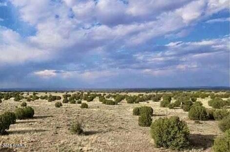 tbd 211-46-010f #-, Concho, AZ 85924