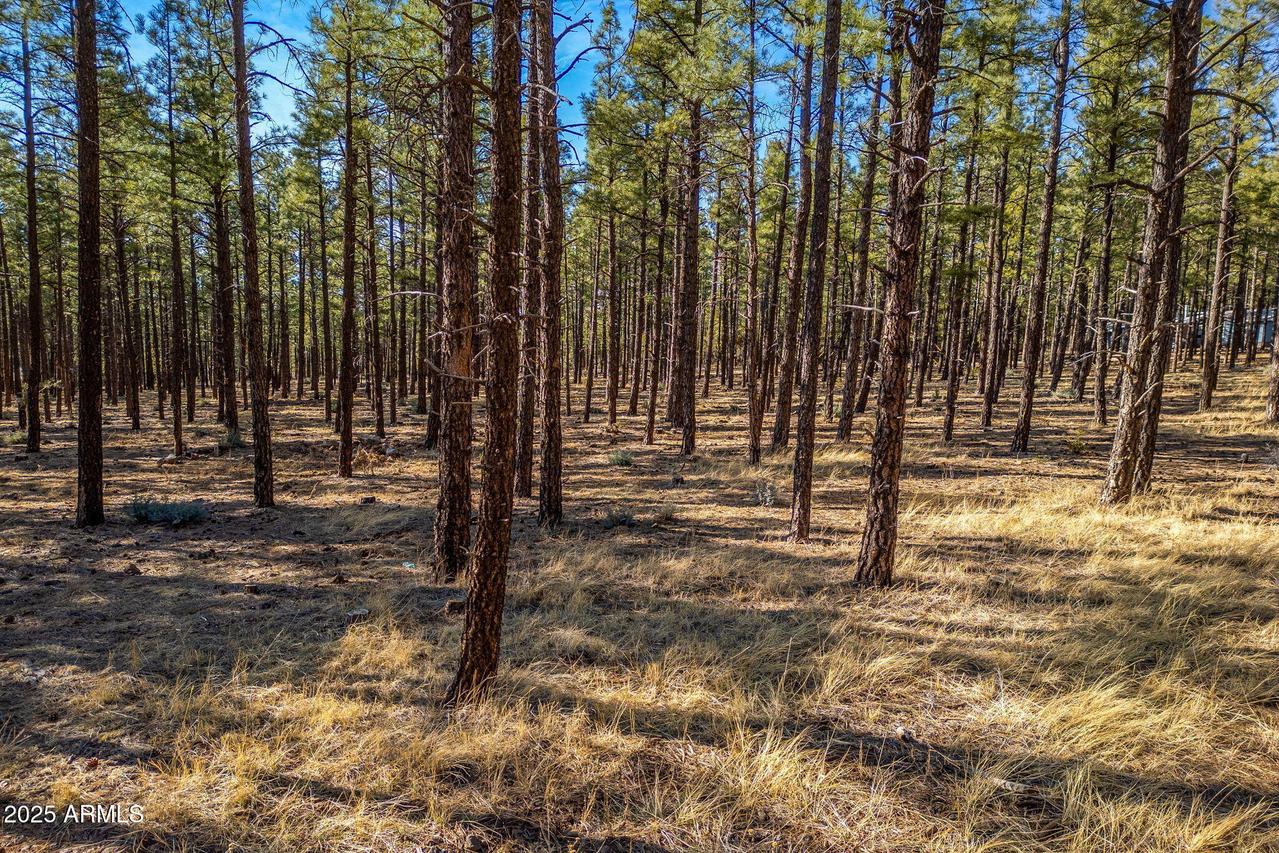 TBD Wilderness Dr. #036J, Pinetop-lakeside, AZ 85929