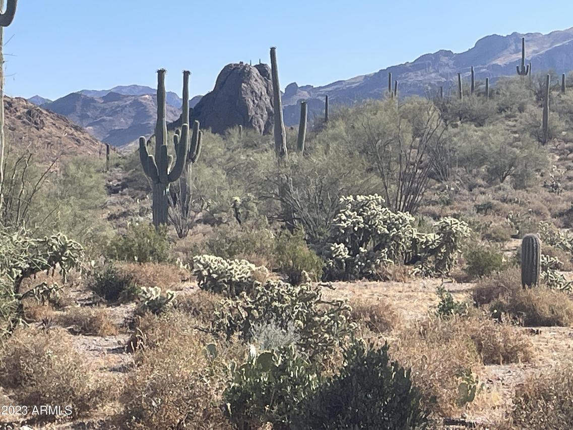 N Elephant Butte Rd. #015F aka PCL D, Queen Valley, AZ 85118