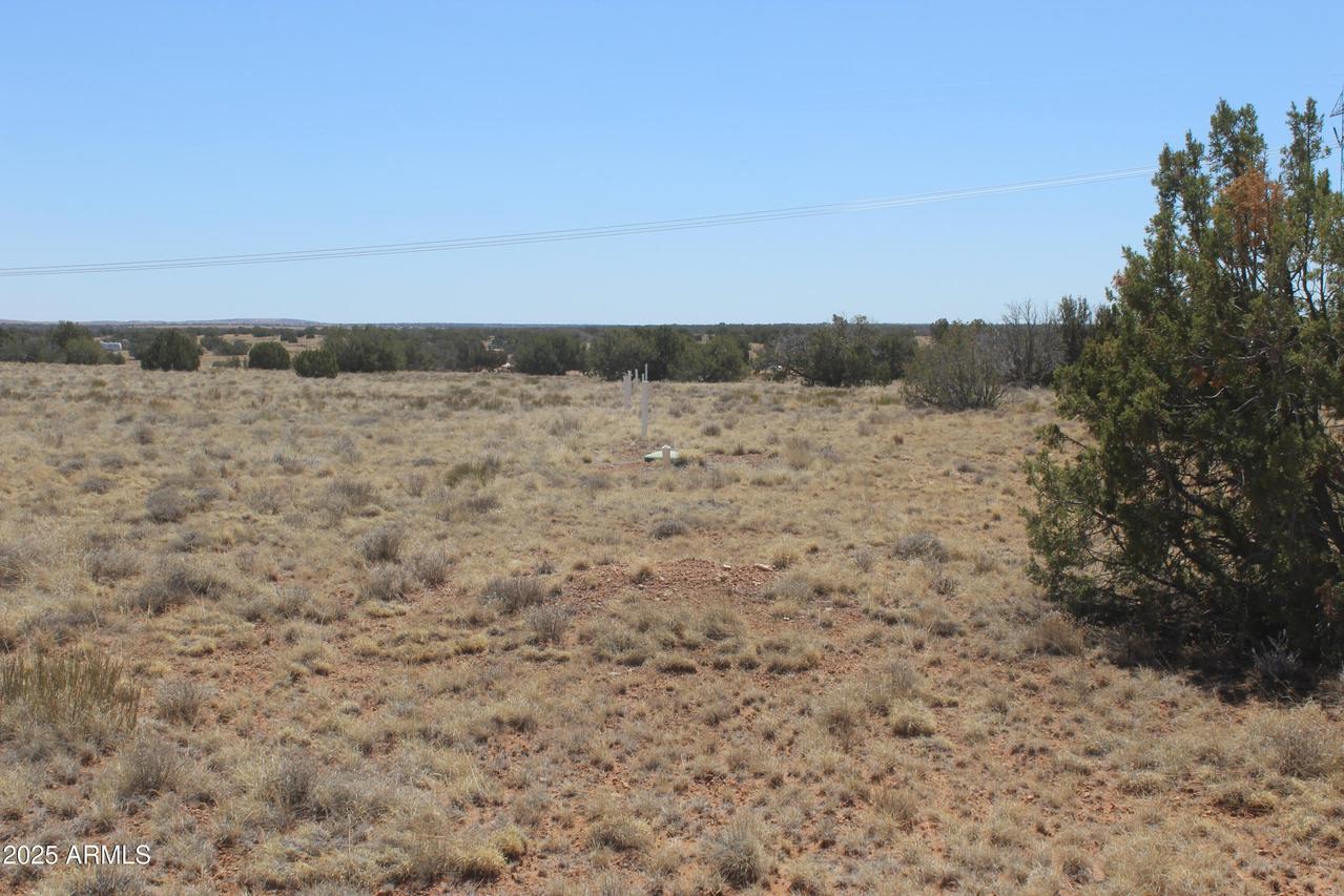 5999 Mesa View Lot 149 Dr. #149, Heber, AZ 85928