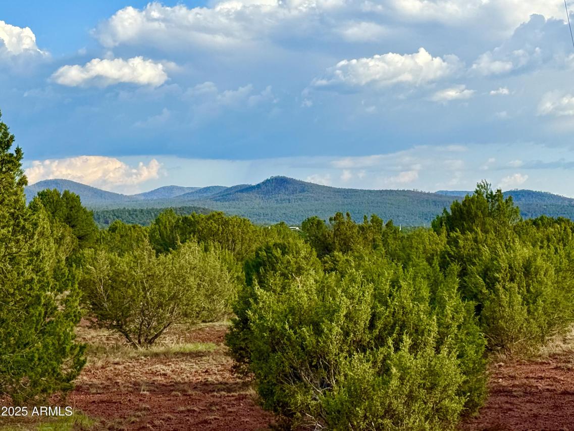 180 Co Rd 3148 Lot #1 2.1 Acres #-, Vernon, AZ 85940