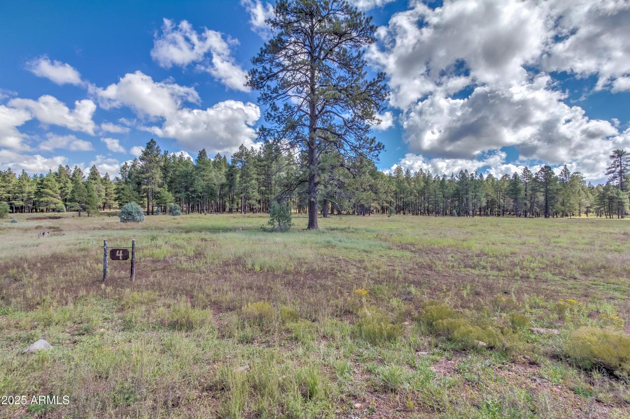 307 E Foxboro Rd. #4, Munds Park, AZ 86017