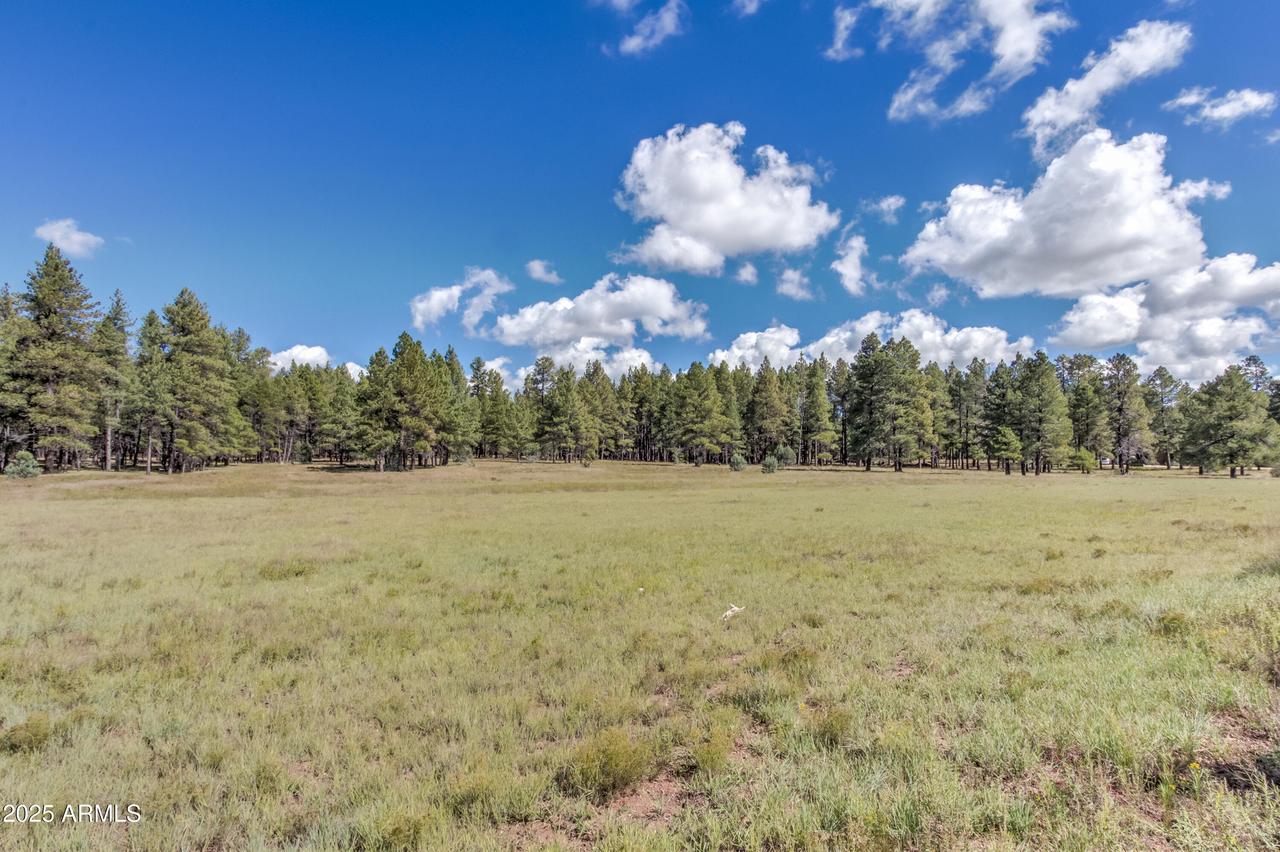 95 E Foxboro Rd. #11, Munds Park, AZ 86017