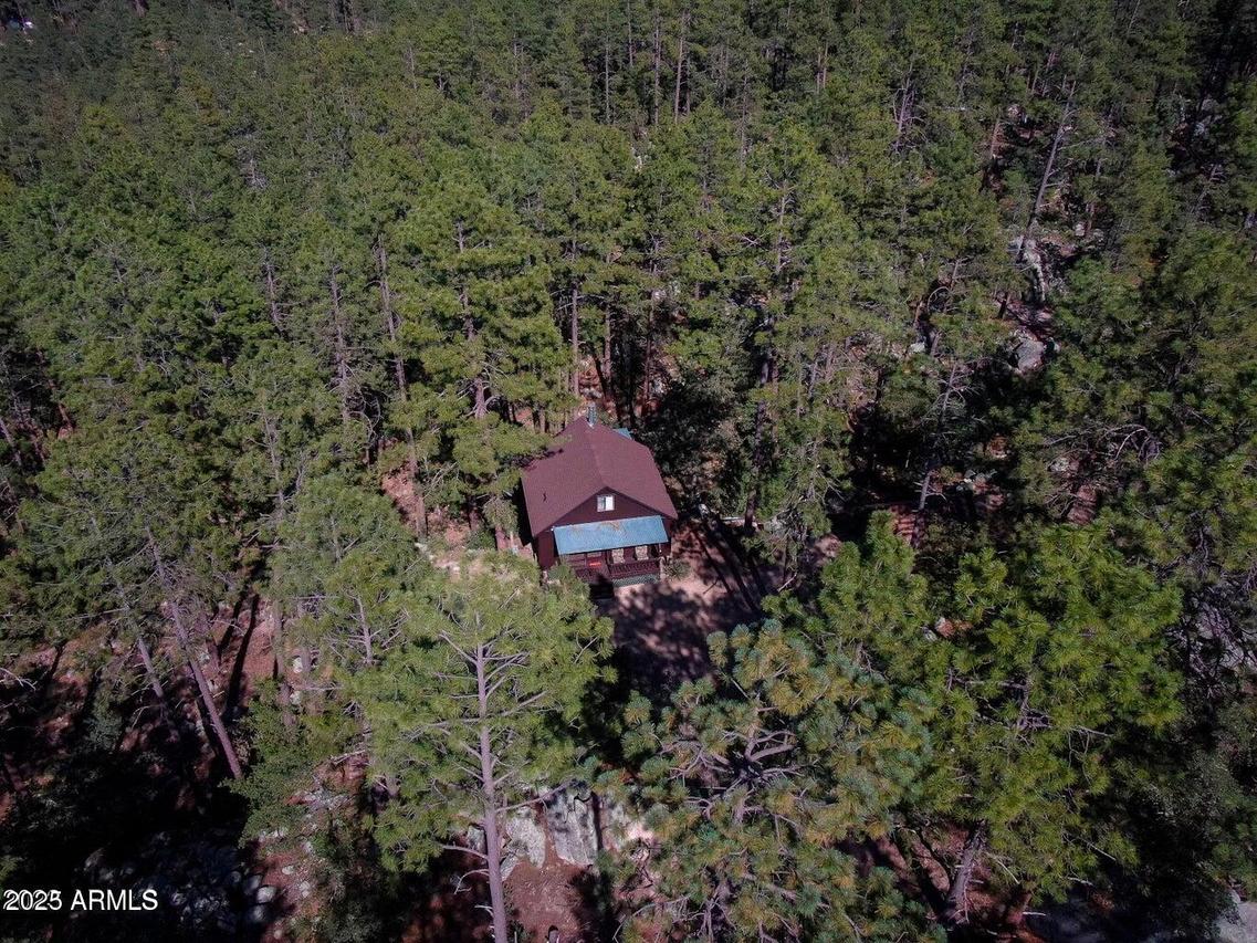23830 S Van Tilborg Rd., Crown King, AZ 86343