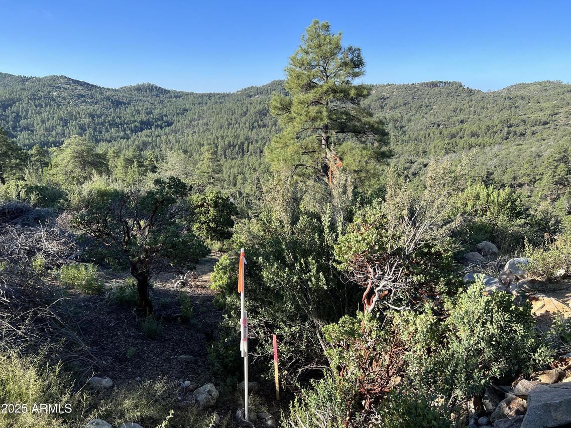 XX E Privateer Rd. #-, Crown King, AZ 86343