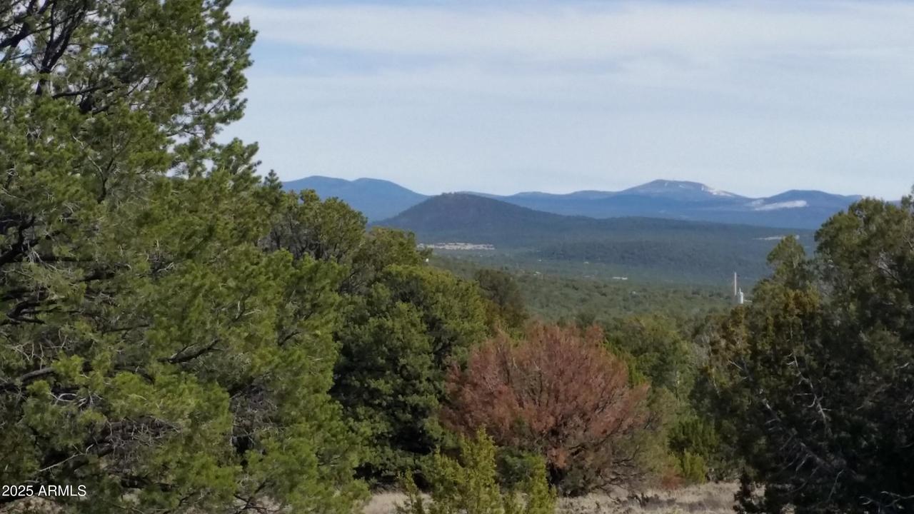 Lot 20 Mountain Pine Rd. #20, Vernon, AZ 85940
