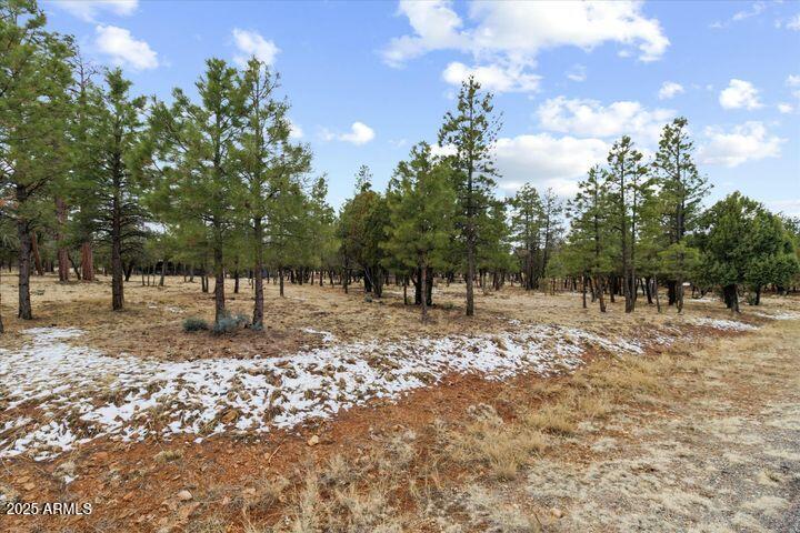 4995 Starlight Dr. #150, Happy Jack, AZ 86024