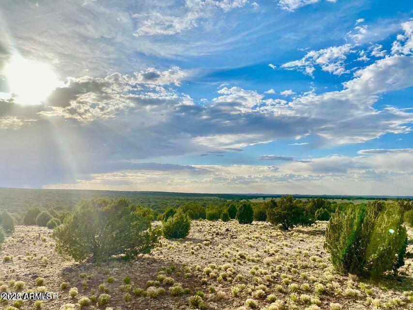TBD Silver Lake Blvd Lot 1 8.16 Ac #-, Show Low, AZ 85901